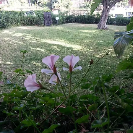 Su Canale Navigabile Villa *